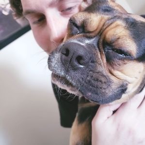 Meet your Posher, Mark